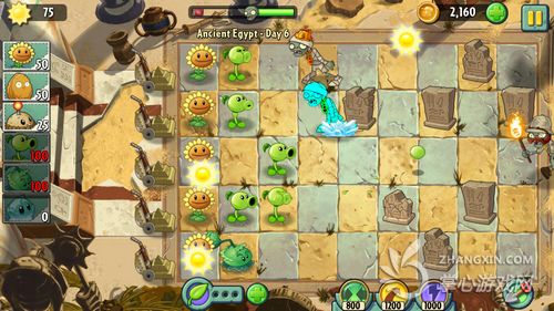 ios神作降臨搶先體驗《植物大戰(zhàn)僵尸2》評測