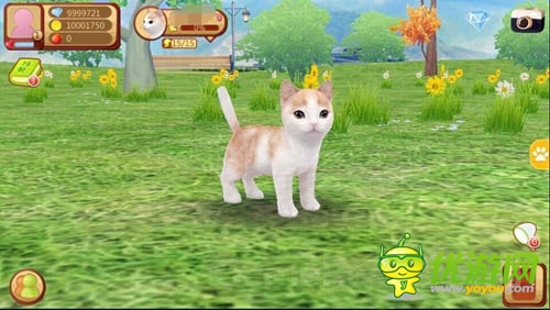 小貓萌萌噠 LONFUN新作《心動(dòng)小貓》曝光