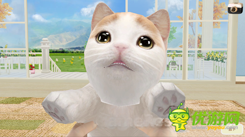 小貓萌萌噠 LONFUN新作《心動(dòng)小貓》曝光