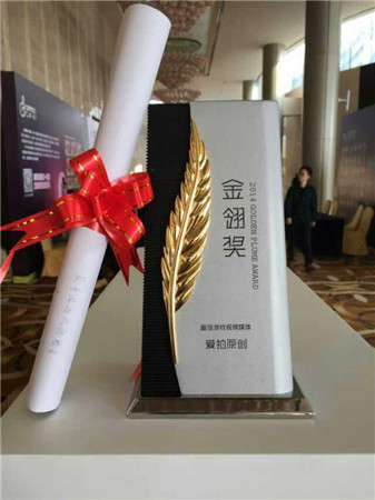 愛(ài)拍原創(chuàng)斬獲2014金翎獎(jiǎng) “最佳游戲視頻媒體”